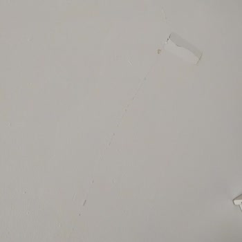 Eksper Davranışları Ve Müşteri Memnuniyetsizliği