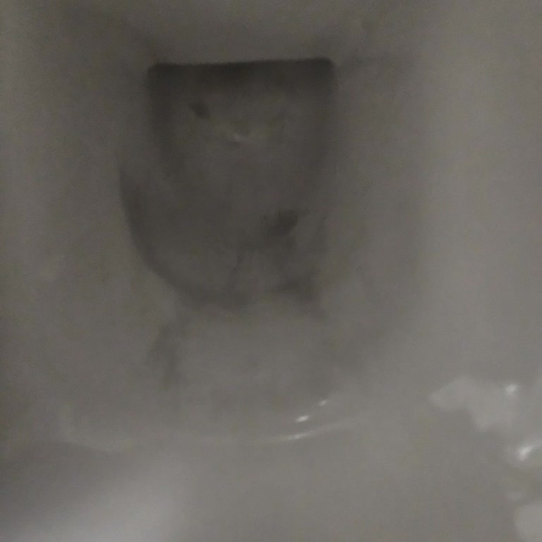 Armut Uygulaması Üzerinden Alınan Hizmette Yaşanan Sorunlar