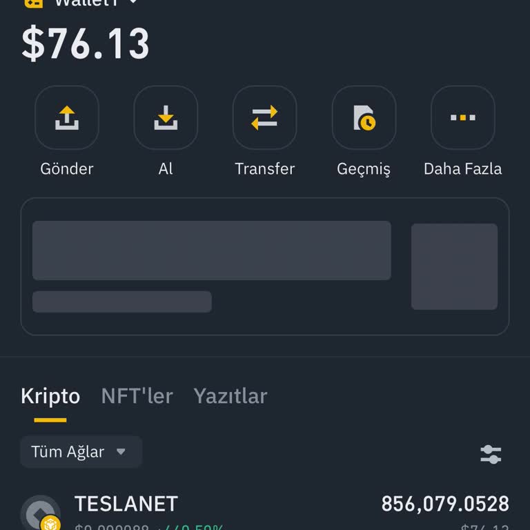 Binance Üzerinden Teslanet Coin Dönüştürme Sorunu
