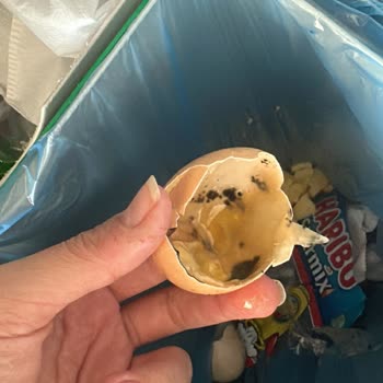 Getir'den Aldığım Yumurtanın İçinin Simsiyah Çıkması Şok Etti