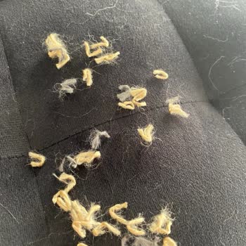 Gümüşsuyu Halı'da İade Ve Fiyat Farkı Mağduriyeti