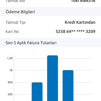 Otomatik Ödemeye Rağmen Elektrik Kesintisi Tehdidi
