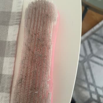 Halı Yıkama Hizmetinde Hayal Kırıklığı: Temizlik Yerine Toz Ve Koku