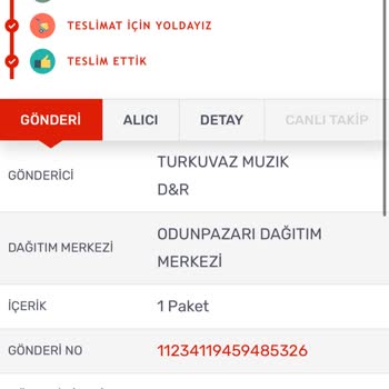 Kargo Sistemi Sorunu: Teslim Edilmeyen Ürün
