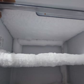 Arçelik Derin Dondurucu Servis Sorunu Ve İletişim Zorluğu