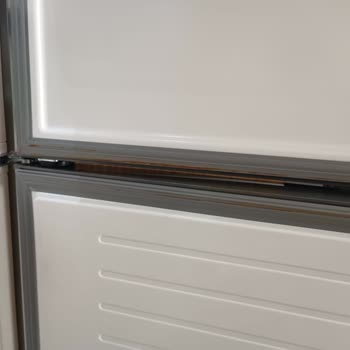 Siemens Buzdolabında Anlamsız Conta Lekeleri