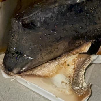 Gece Yarısı Powerbank Tehlikesi