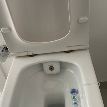 Turkuaz Ibiza Klozet Kapakları Ve Musluk Oksitlenme Sorunu