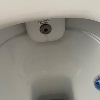 Turkuaz Ibiza Klozet Kapakları Ve Musluk Oksitlenme Sorunu