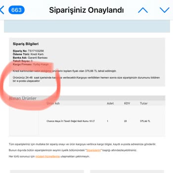 Kedi Kumu Siparişimde Gecikme Ve İletişim Sorunları