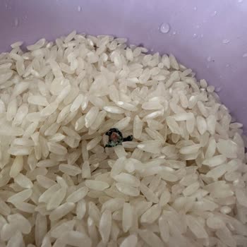 Tat Bakliyat Güvenimizi Sarsan Hijyen Sorunu