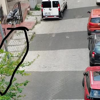 Daralan Sokaklar Ve Park Sorunu