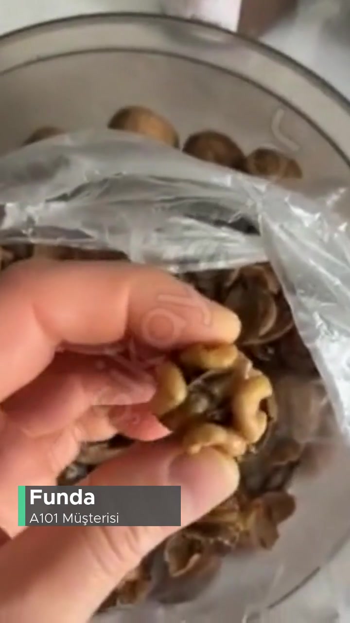 A101 Kapıda'dan Kurtlu Ceviz! videonun kapak resmi