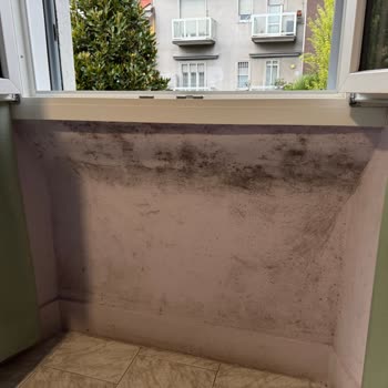 Booking.com Refused to Refund My €99 After Moldy Room and a Canceled Stay