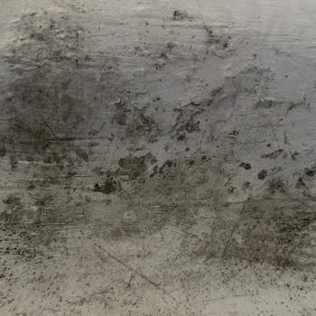 Booking.com Refused to Refund My €99 After Moldy Room and a Canceled Stay