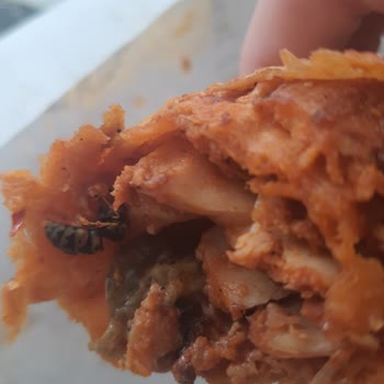 Dönerin İçinden Çıkan Arı Şoku