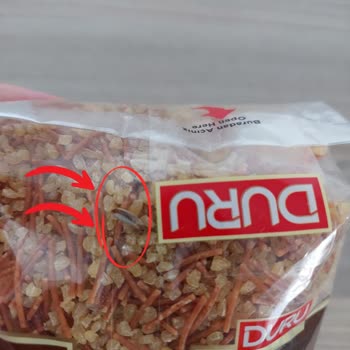 Kapalı Ambalajda Böcek Şoku: Güven Sarsıldı