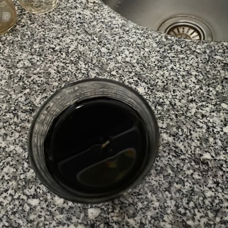 Coca-Cola'da Böcek Şoku: Sağlık Ve Güvenlik Endişeleri