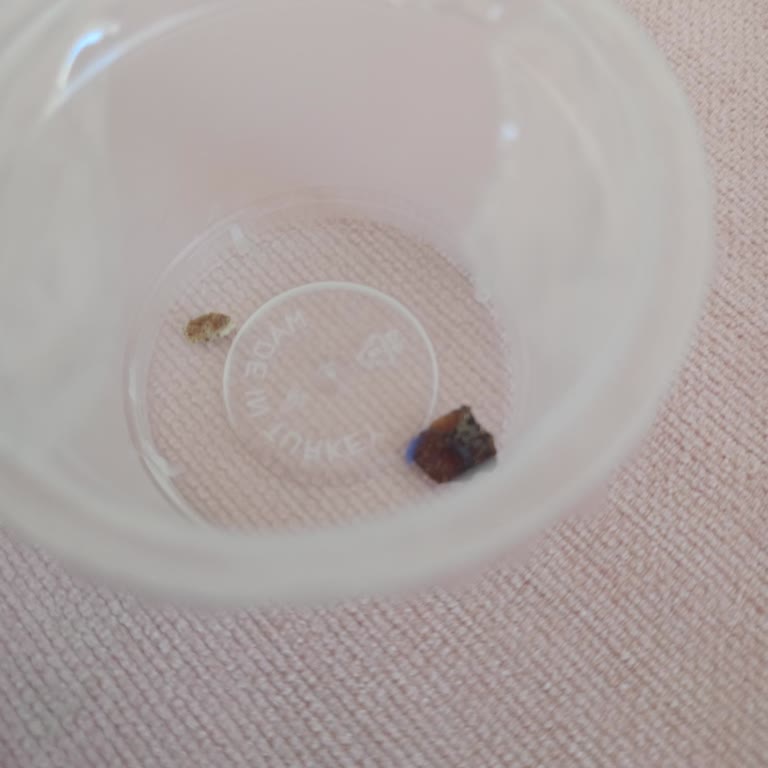 Migros Sanal Market'ten Aldığım Kıymada Kıkırdak Sorunu