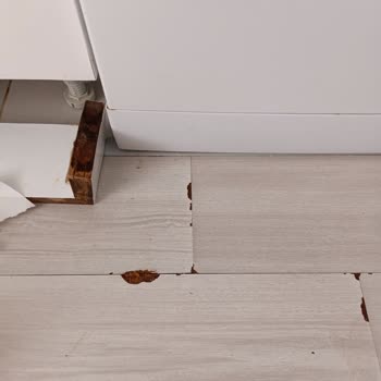 Arçelik Servisi İle Yaşadığım Büyük Hayal Kırıklığı