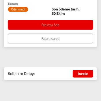 Fatura Detayları Ve Müşteri Hizmetleri Sorunu
