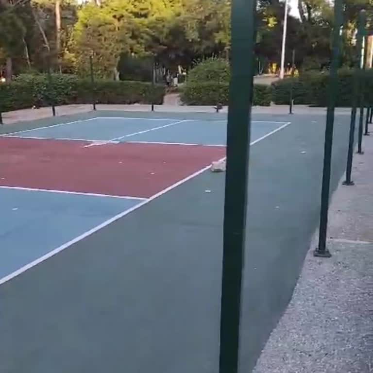 İzmir Büyükşehir Belediyesi Pickleball Sahamız Neden Kaldırıldı?