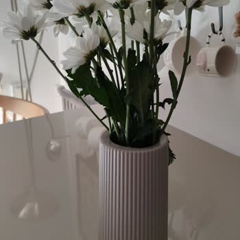 Siparişte Beklenmedik Hayal Kırıklığı