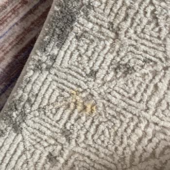 Hayal Kırıklığı Yaratan Halı Temizleme Hizmeti