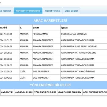 Kargo Teslimatında Yaşanan Sorunlar Ve İletişim Engelleri