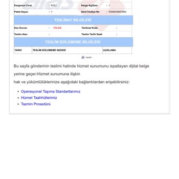 Kargo Teslimatında Yaşanan Sorunlar Ve İletişim Engelleri