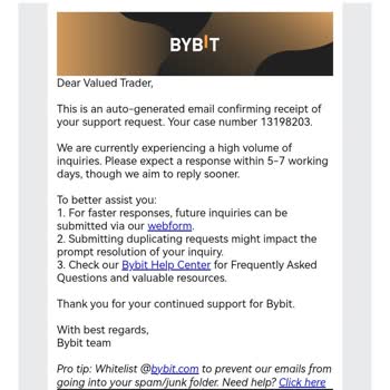 Bybit TR'de Para Transferi Sorunu