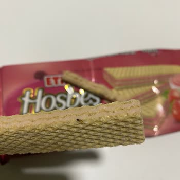 Hoşbeş'te Böcek Şoku!