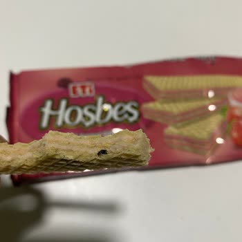 Hoşbeş'te Böcek Şoku!