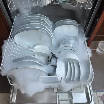 Boron Deterjanı Bulaşık Makinesini Bozdu: Miele F14 Hatası