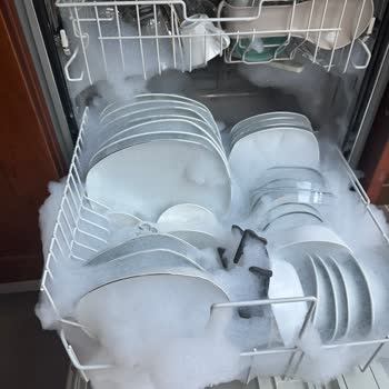 Boron Deterjanı Bulaşık Makinesini Bozdu: Miele F14 Hatası