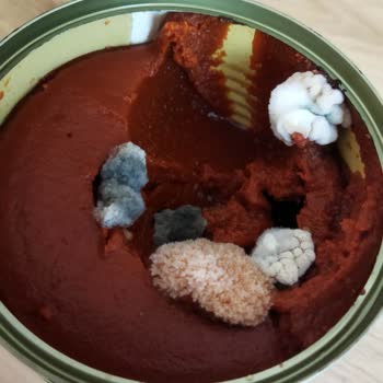 Küflenen Salça Ürünü Ve Hayal Kırıklığı