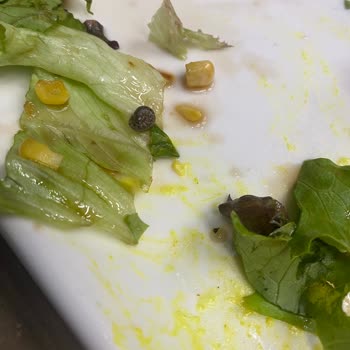 Salatada Sümüklü Böcek Şoku!