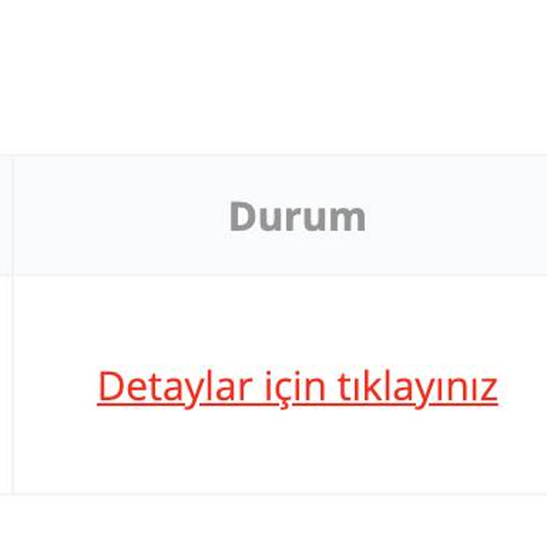 Passolig Kartım Ulaştırılmadı, Başvuru Sorunları Yaşıyorum