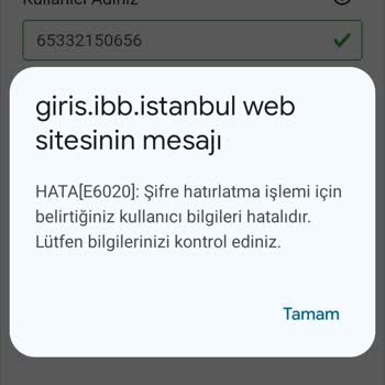 Şifre Yenileme Sorunu Ve Giriş Engeli