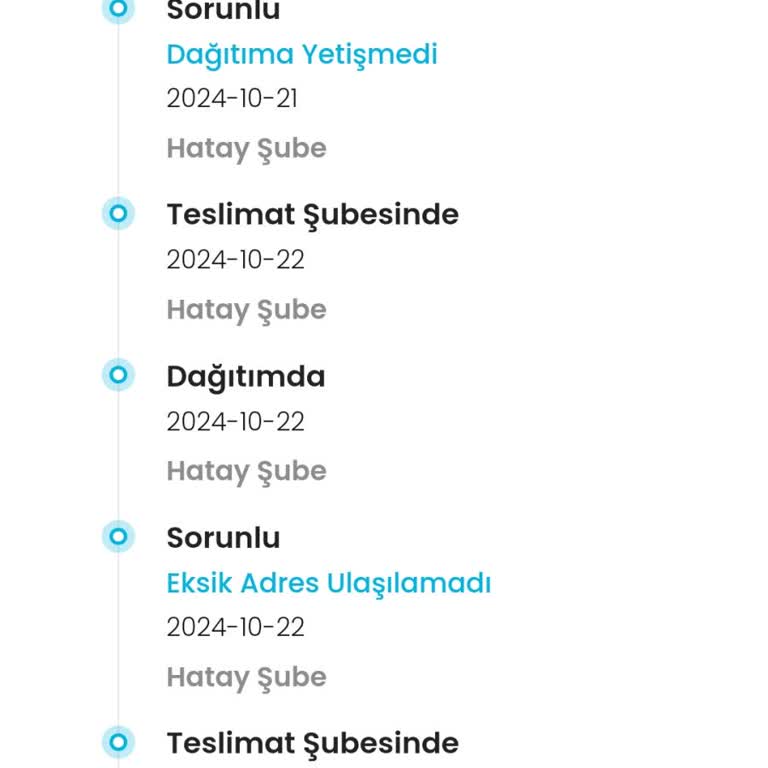 Kargo Teslimatında Sürekli Gecikme Sorunu