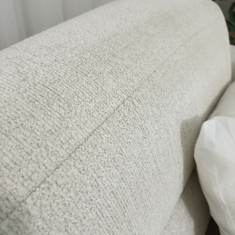 Nehir Koltuk Yıkama Şirketi İle Yaşanan Temizlik Sorunu Ve İletişim Eksikliği