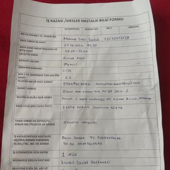 Başıboş Köpekler Güvenliğimizi Tehdit Ediyor