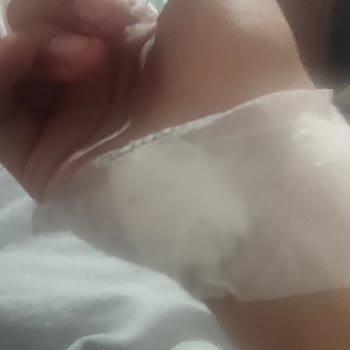 Başıboş Köpekler Güvenliğimizi Tehdit Ediyor