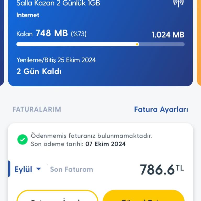 Turkcell İnternet Hız Sorunu Ve Yüksek Fatura