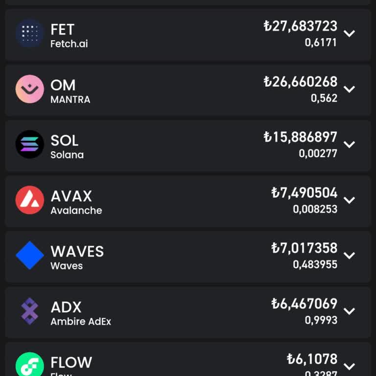Bitay Borsasında Uzun Süreli Para İadesi Sorunu