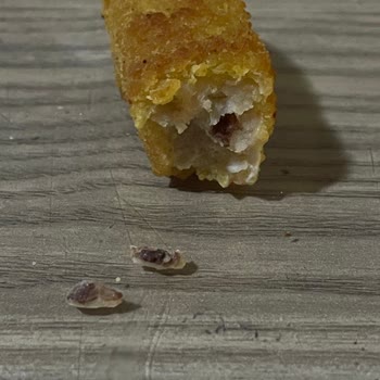 Lezita Piliç Kroket İçinden Çıkan Sert Cisim Şoku1