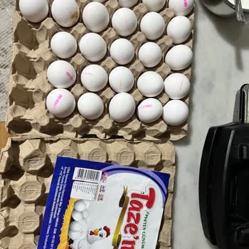 Taze Yumurta Fiyaskosu