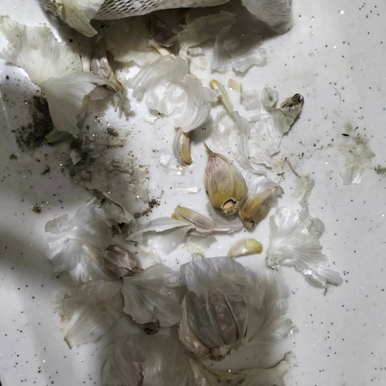 Kütahya Şok Market'ten Aldığımız Sarımsaklar Küflü Ve Kurtlu Çıktı
