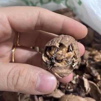 Migros'tan Aldığım Cevizler Hayal Kırıklığı