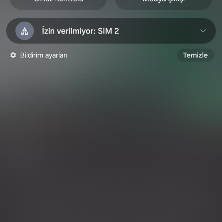 Samsung Galaxy S24 Ultra Şebeke Sorunu
